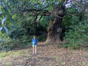 ATN2509NTT070020 300x225