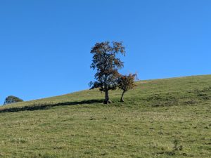 54818768616 8e564bfa77 4k 300x225