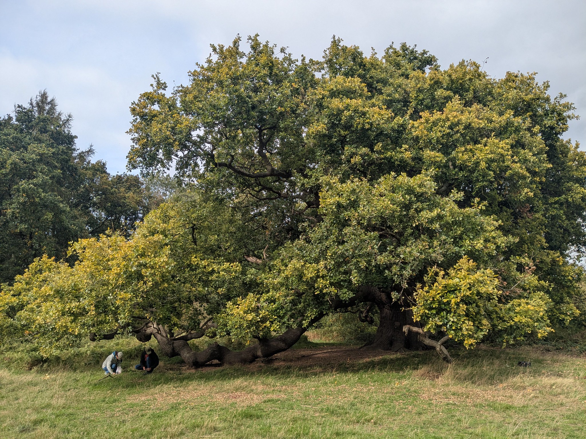 54832876807_156f4eef37_k