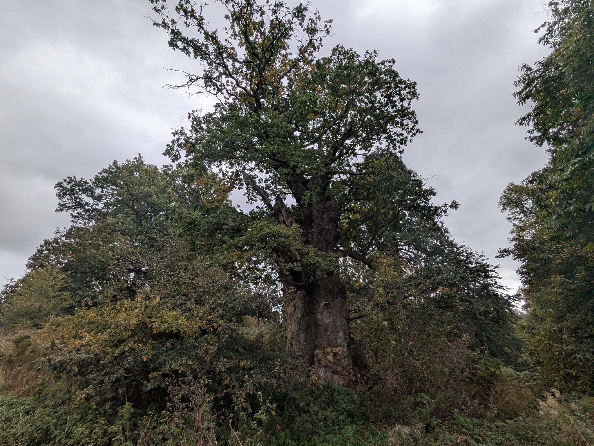 54833730541_c870efc2f3_k