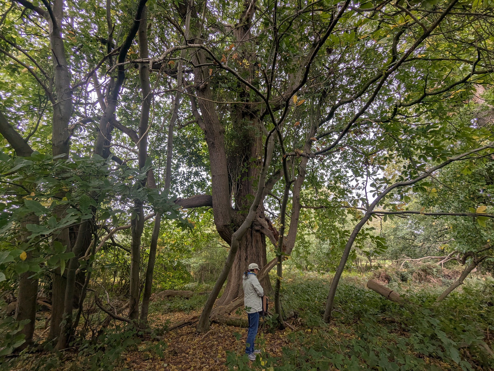 54833964134_76b41257e3_k