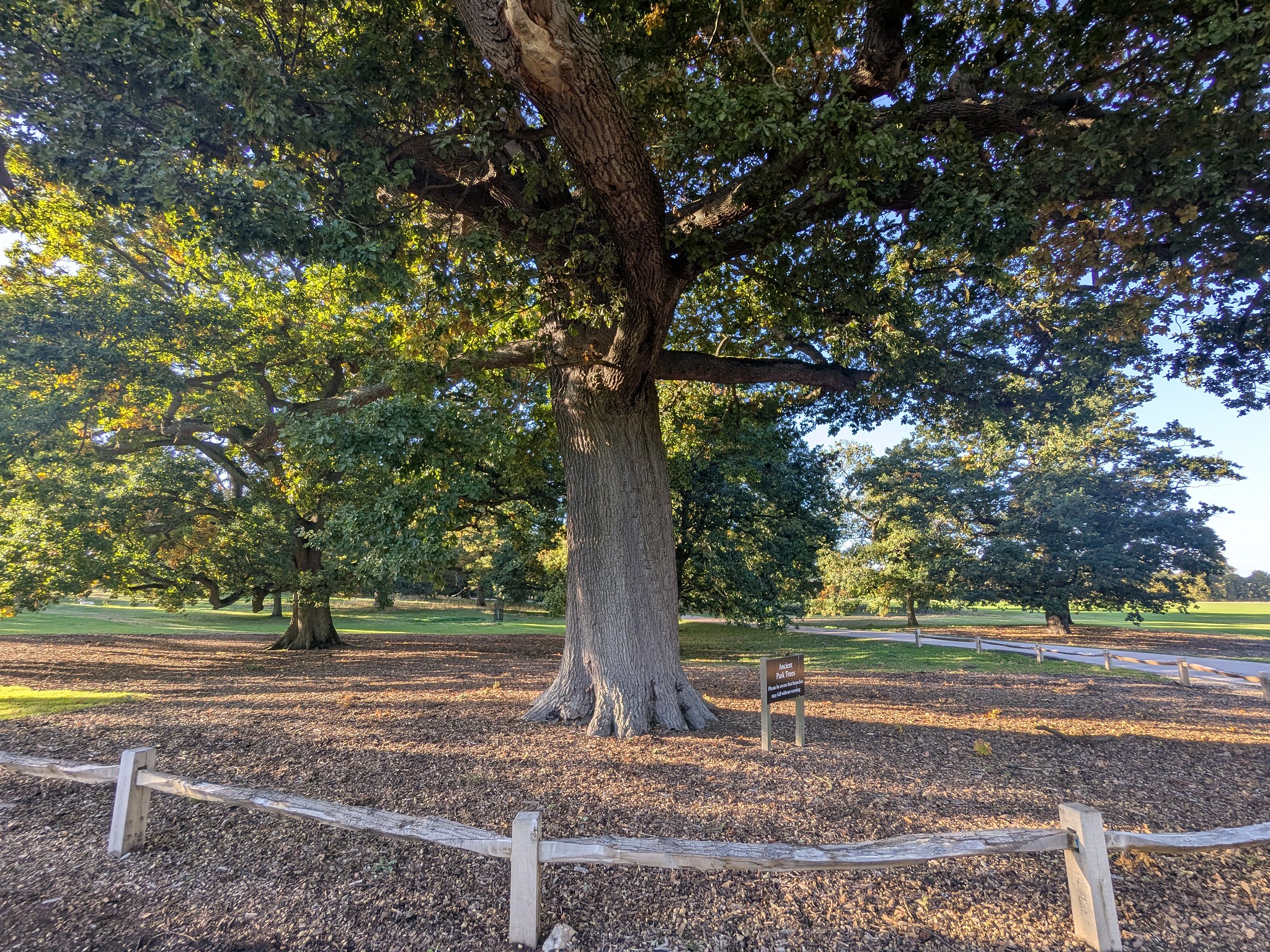 54835871292_a9b3905e90_k