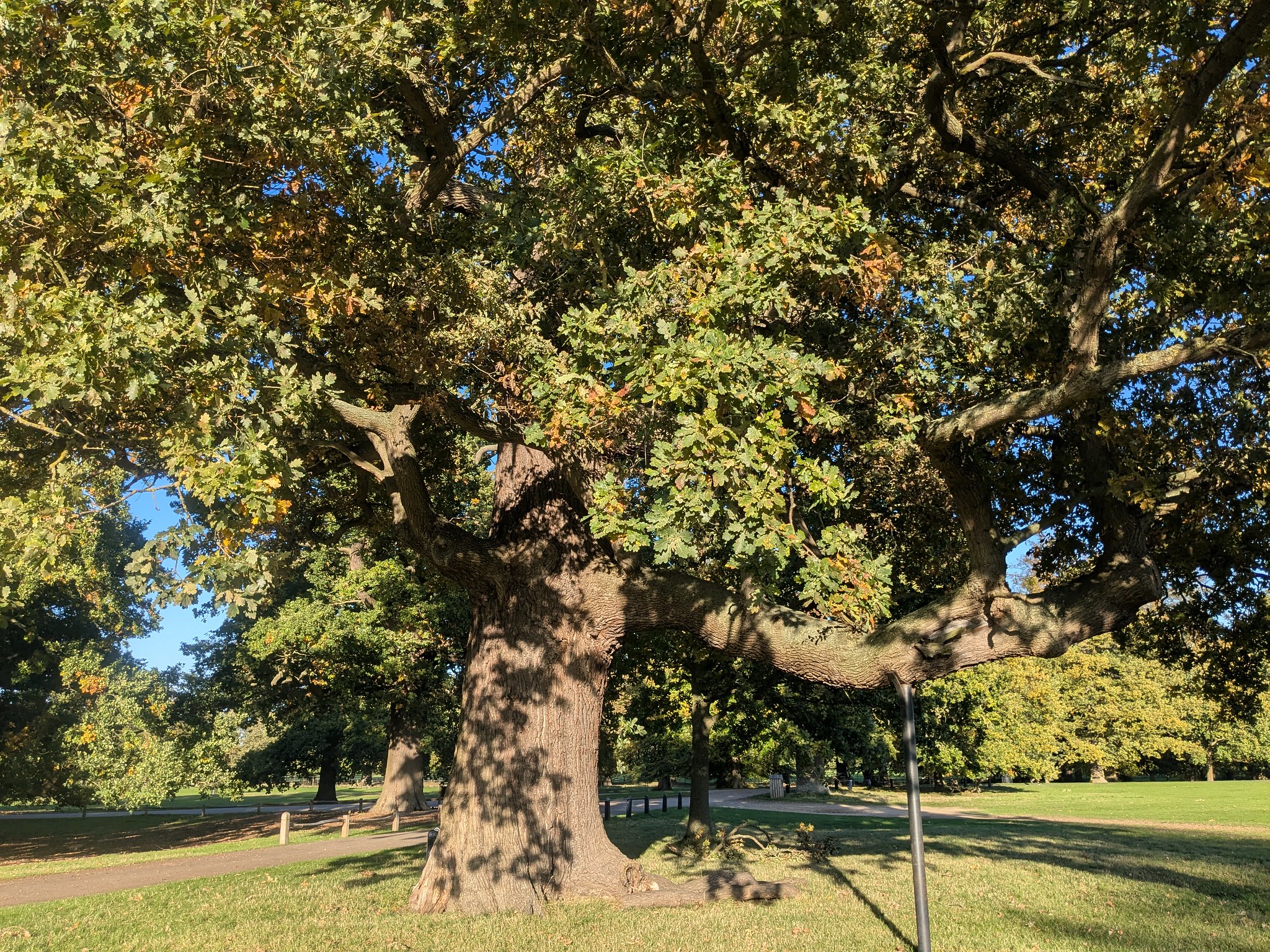 54835871527_1750bd91c0_k