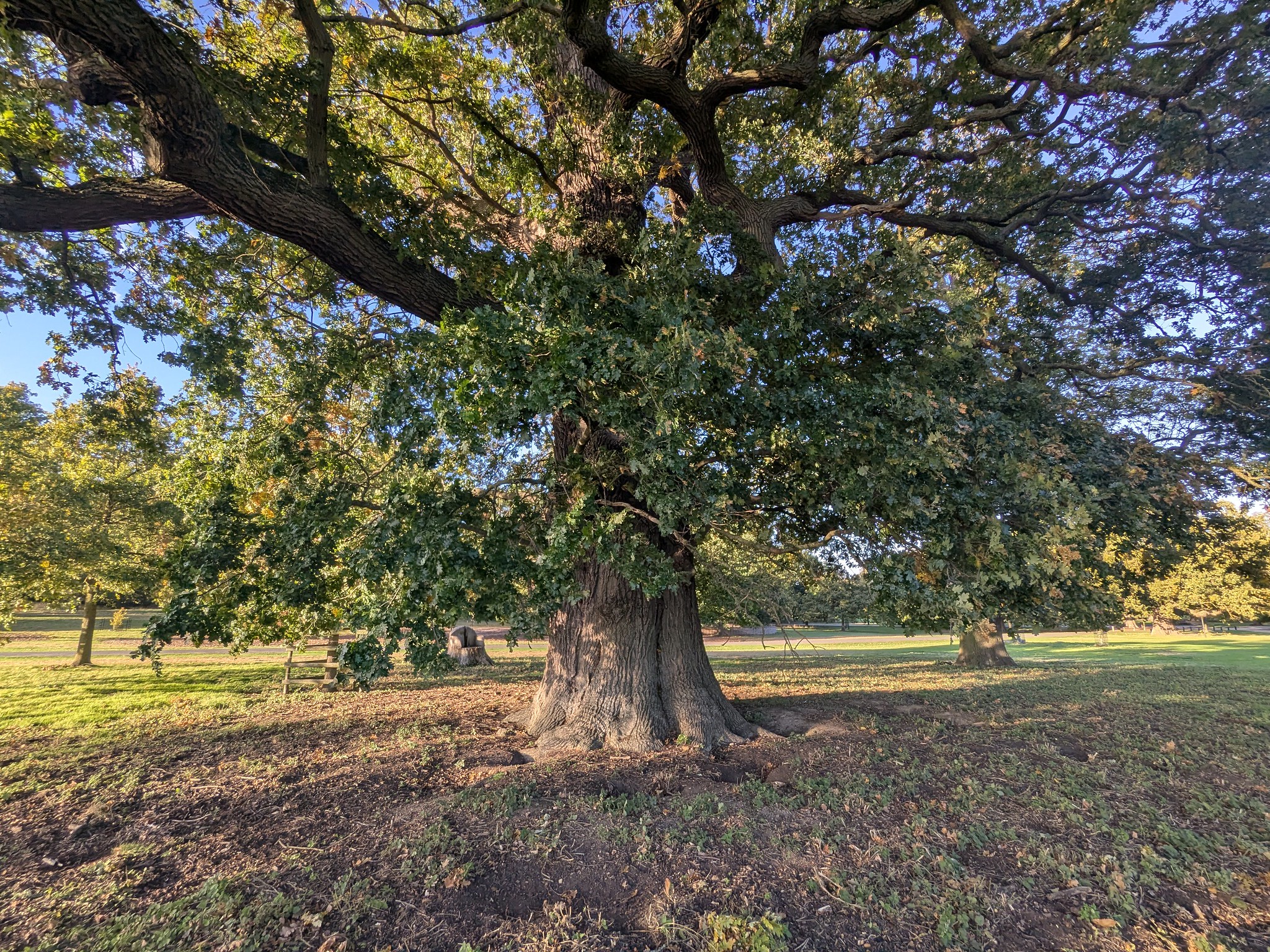 54835872082_1d5f88757d_k