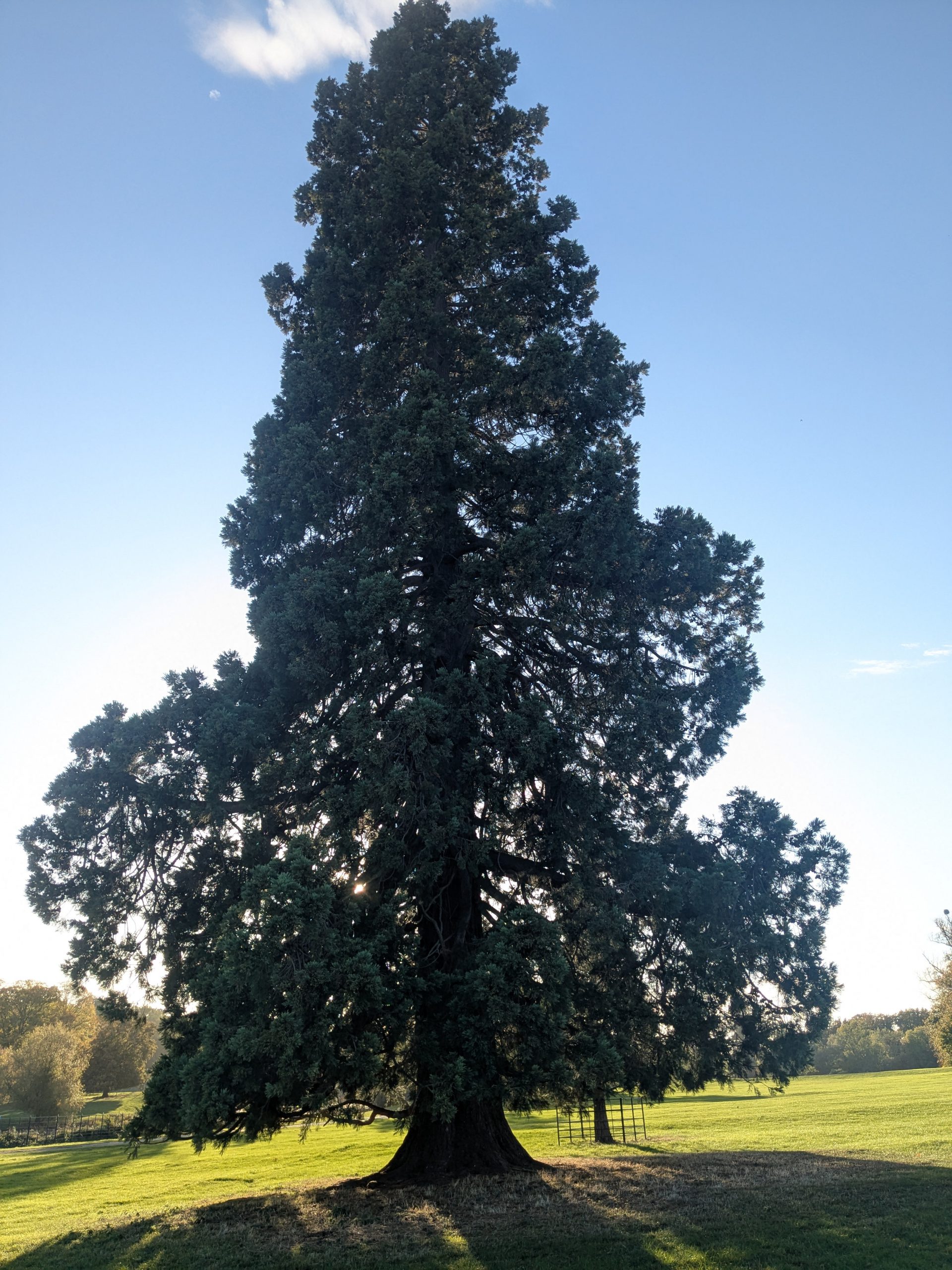 54835872422_dbcf5f511a_4k