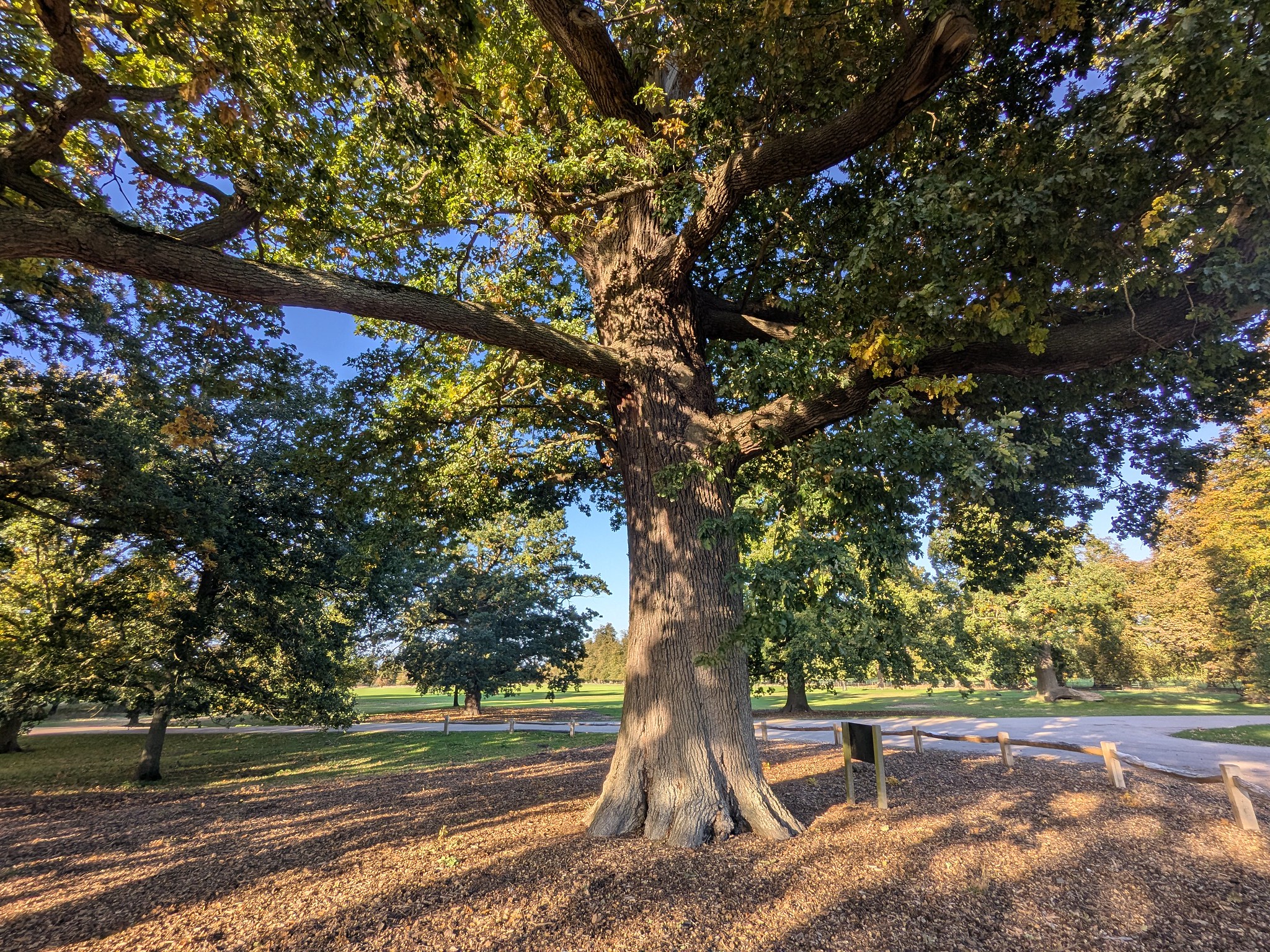 54836736466_0a63f24860_k