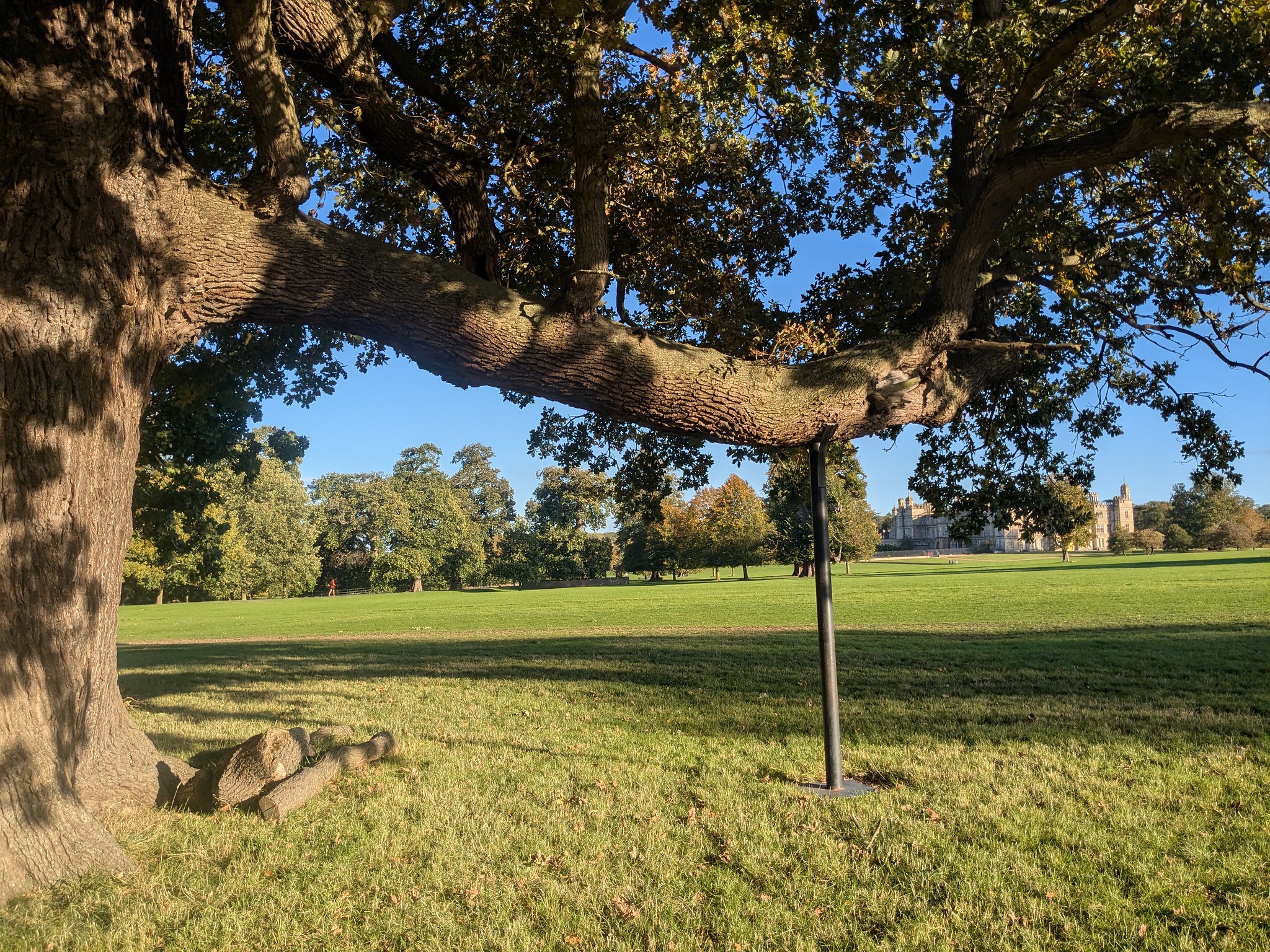 54837060920_1cdecb1a28_k