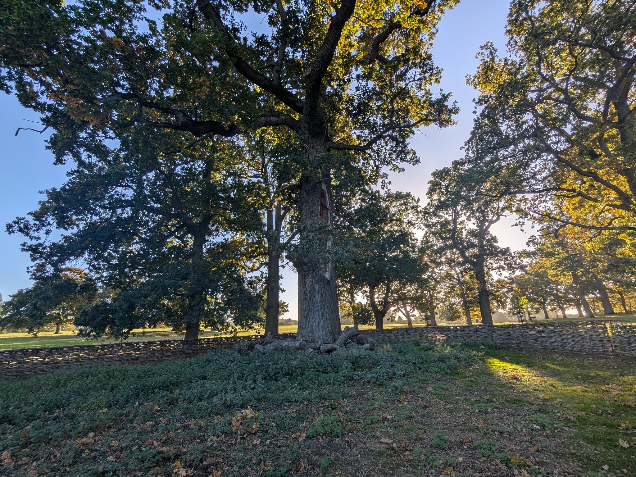 54837061030_60ddc0cd61_k