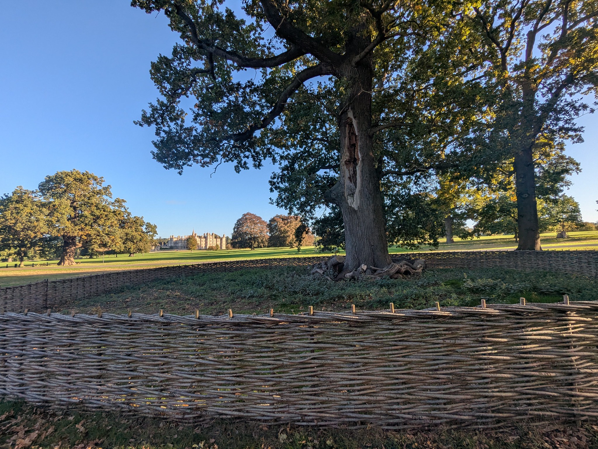 54837061200_7badacc60e_k