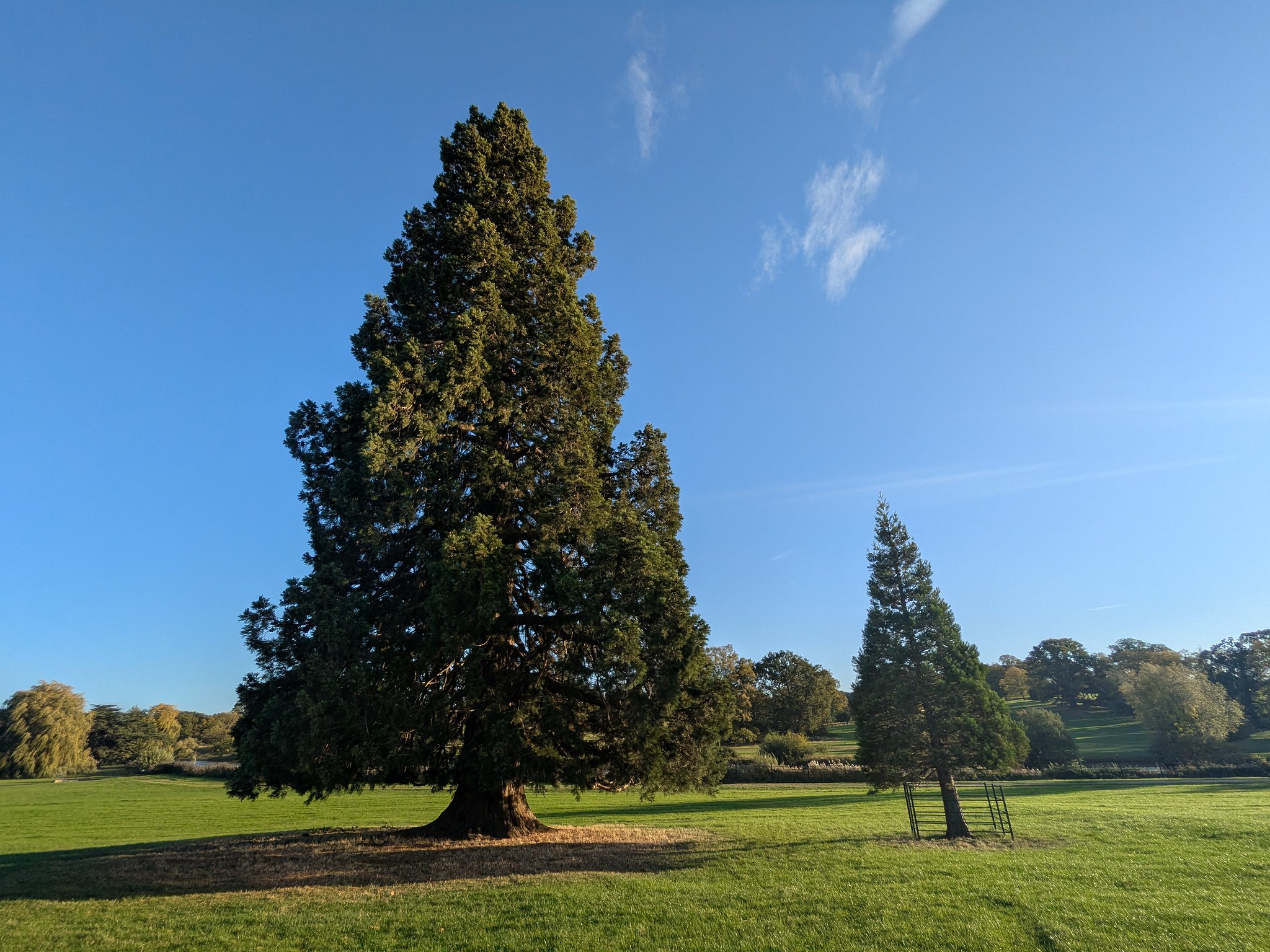 54837061790_d21e1ae5d4_k