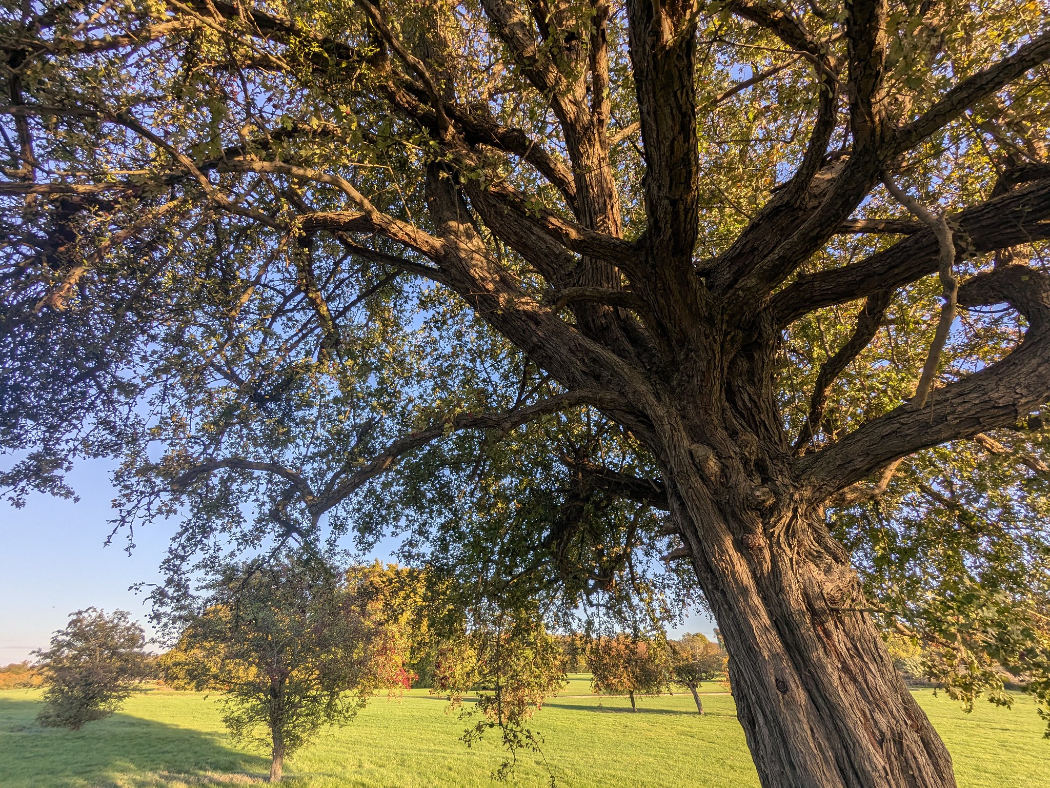 54837062355_ac14626830_k