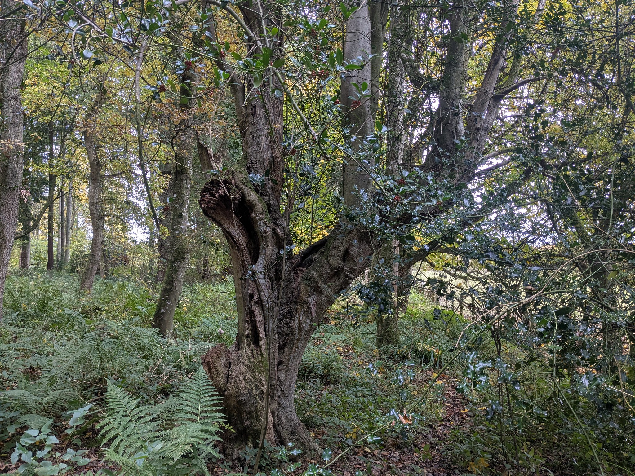 54889852522_e21e634920_k