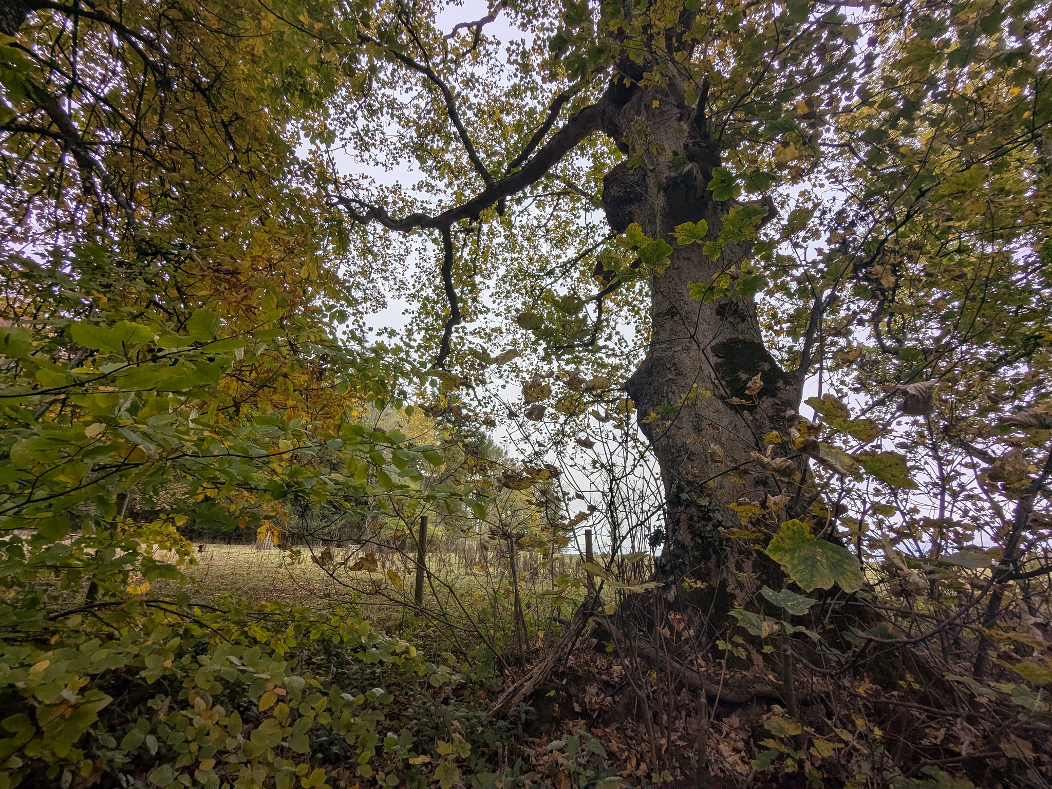 54889854537_e254a7d7d1_k