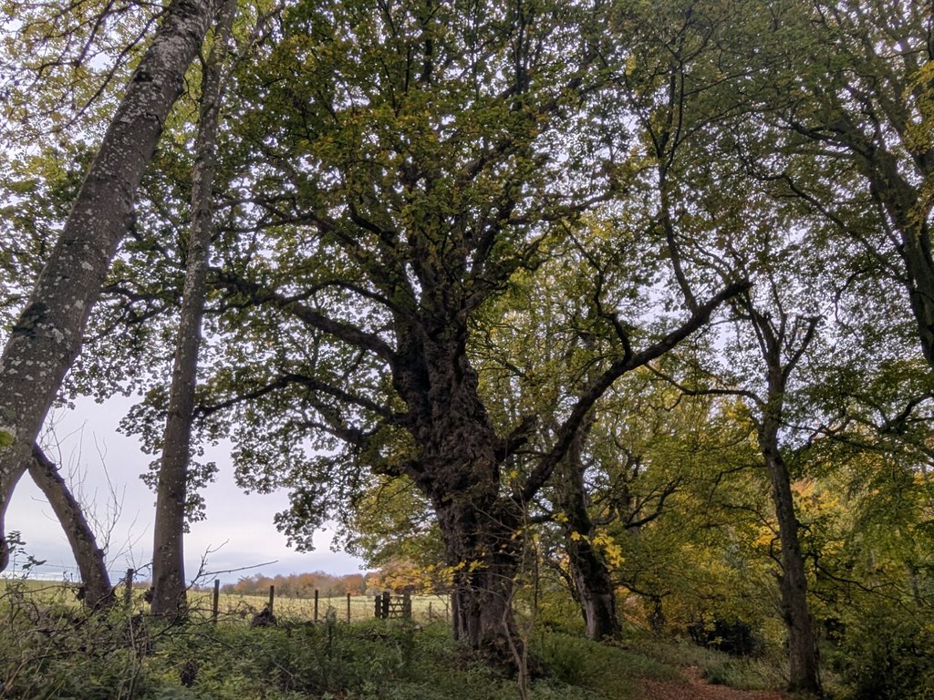 54889855167_3e6e8a7217_b