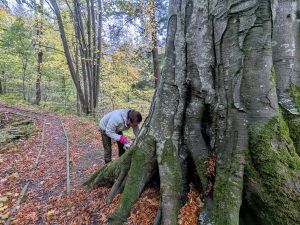 54890062152 Ccc33ffc82 K 300x225