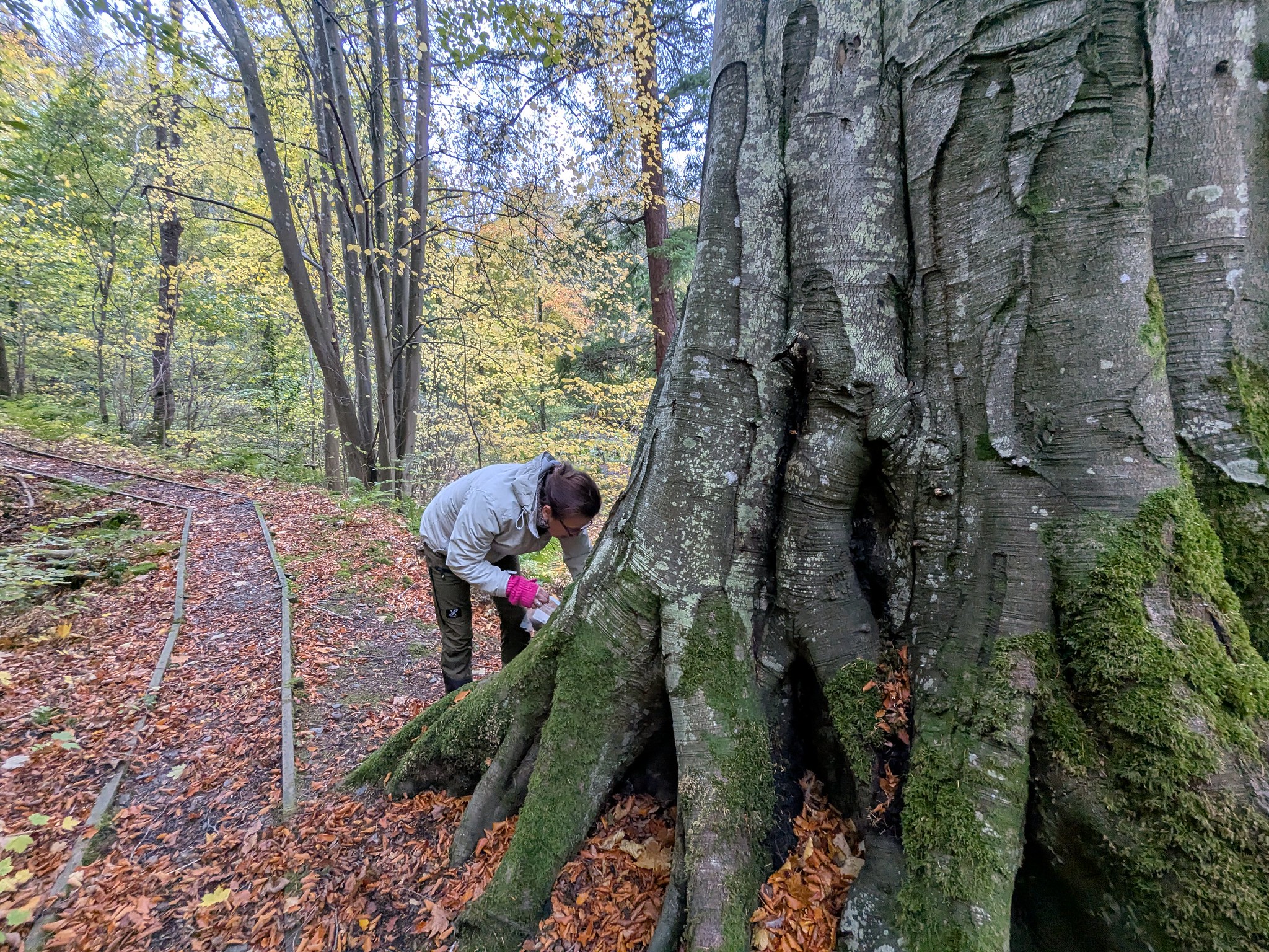 54890062152_ccc33ffc82_k