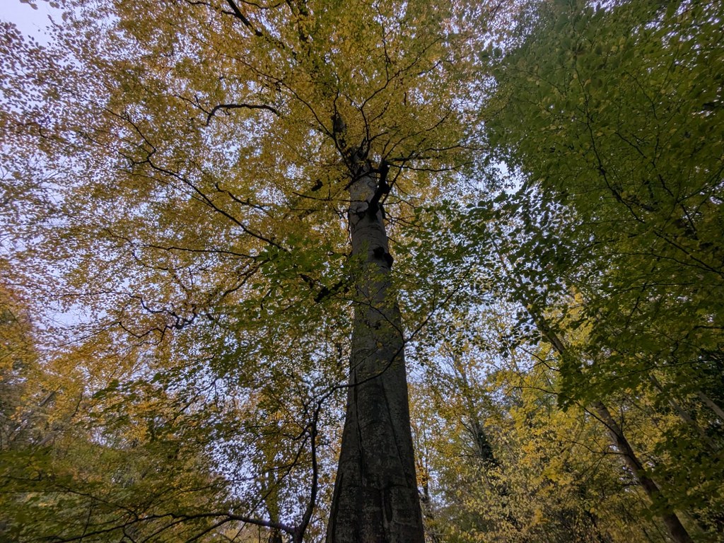 54890062437_ea91976339_b