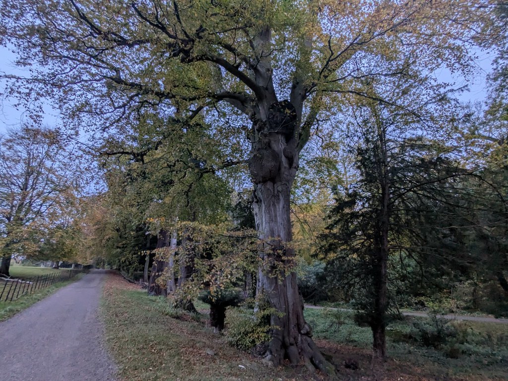 54890937881_1dd04d0079_b