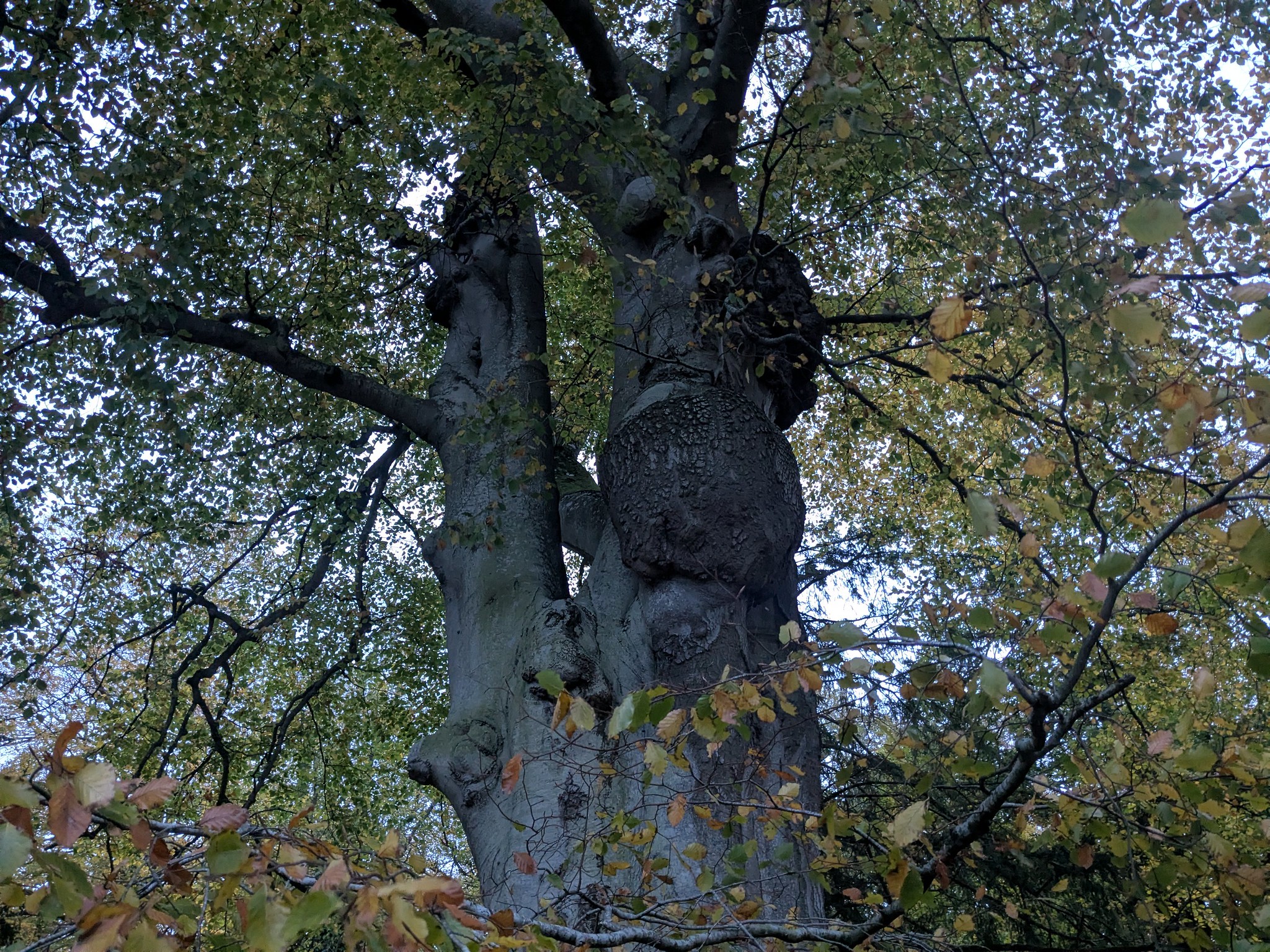 54890938061_ff78cc7618_k