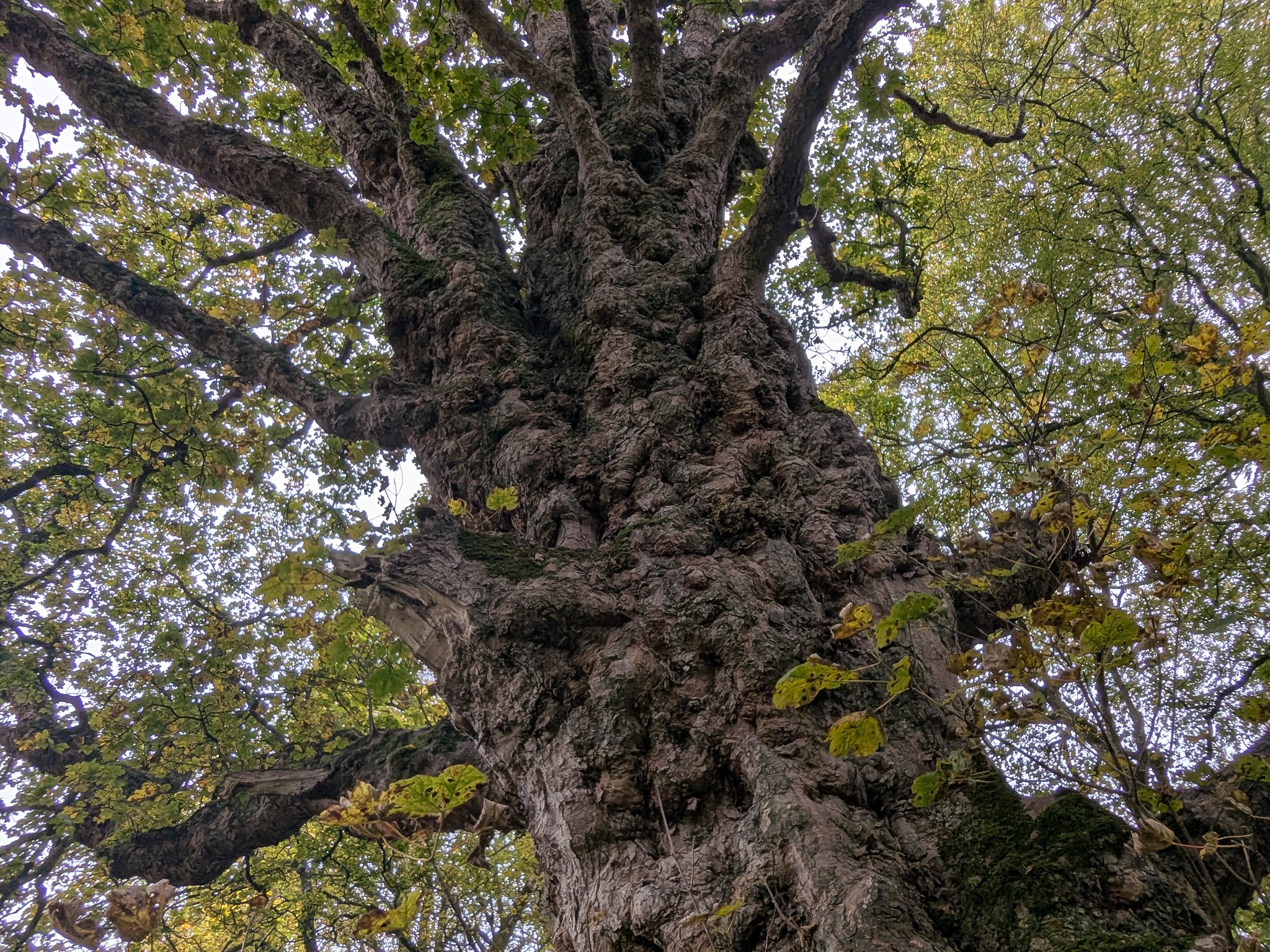 54890976294_013954349d_k