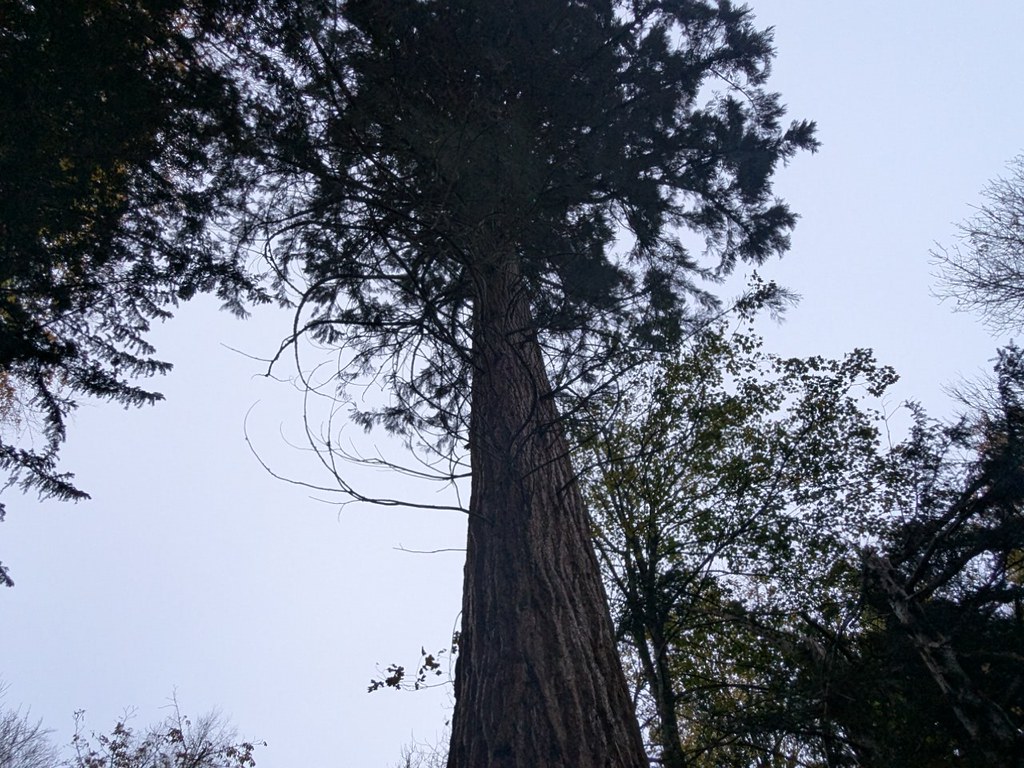 54891160848_fe489cb66c_b