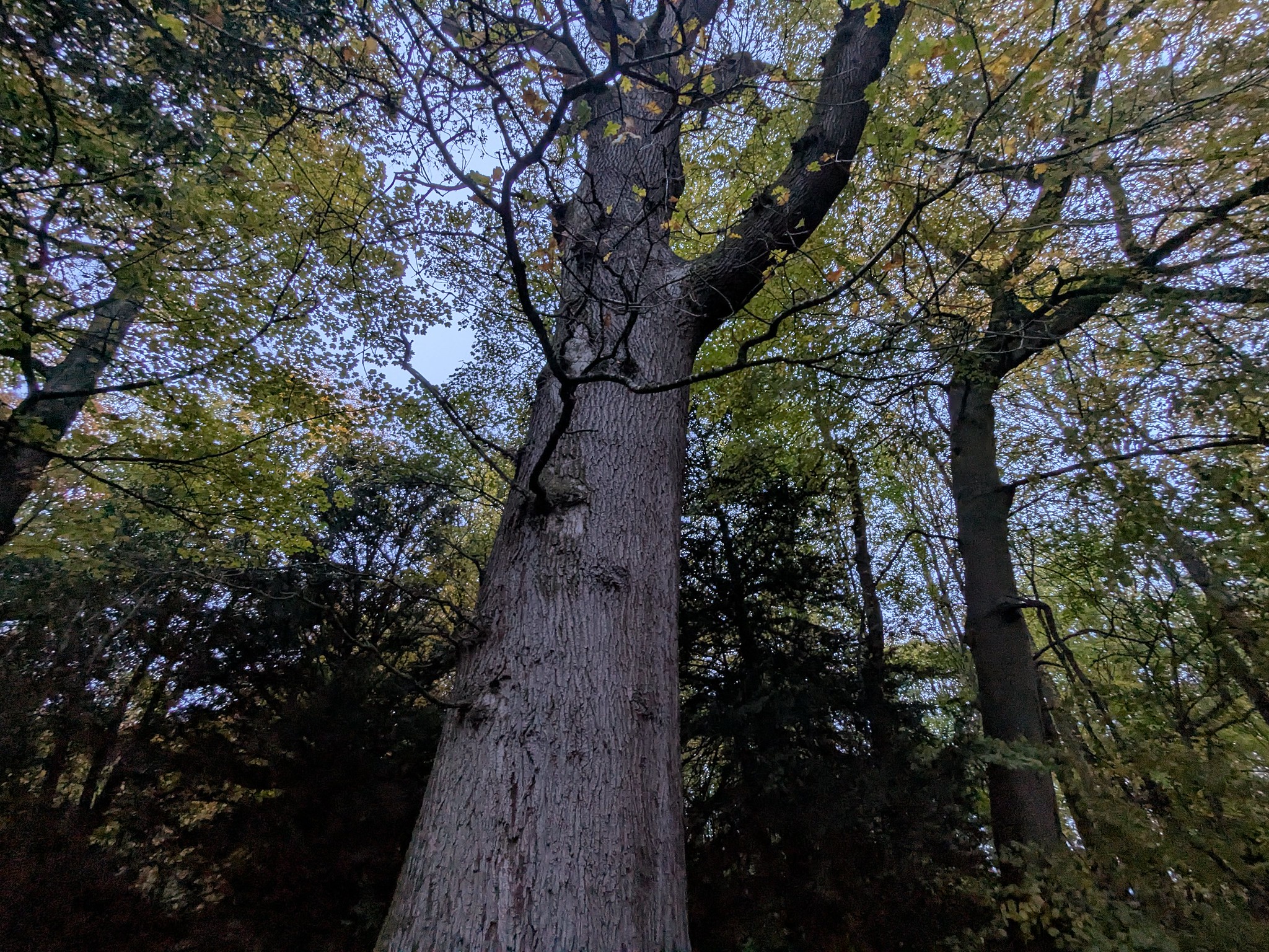 54891162218_e1a4beba54_k