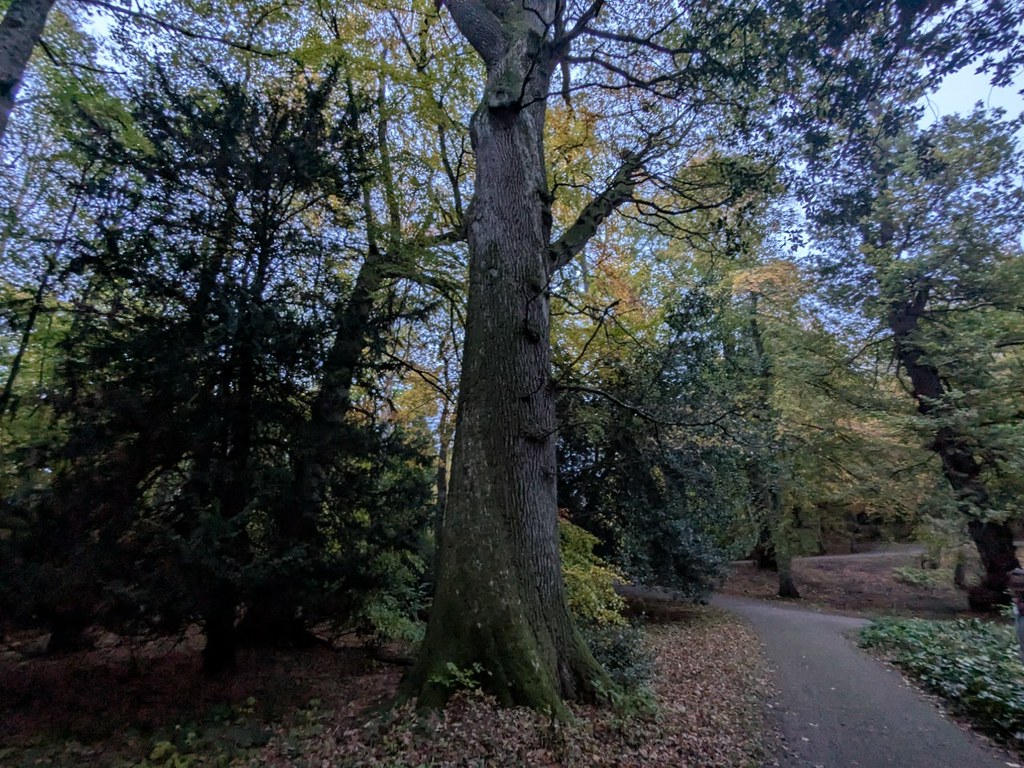 54891162303_bb4693164d_b