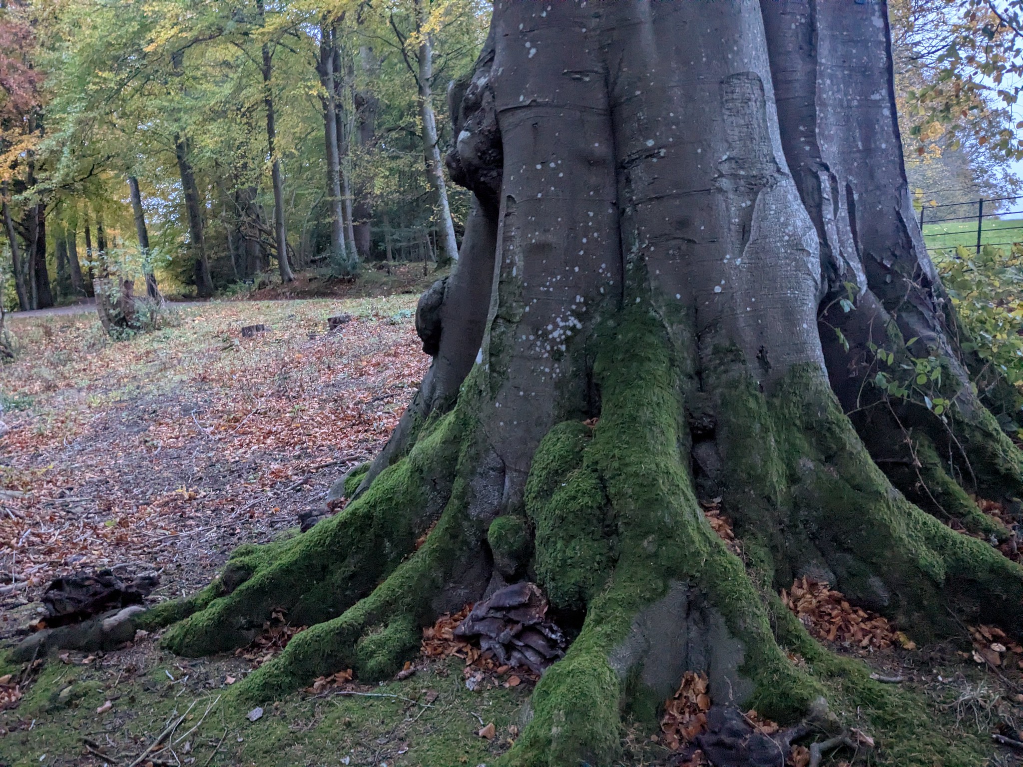 54891163278_70e4b0f339_k