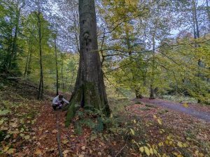 54891234410 2df9796d08 K 300x225