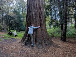 54891235250 E7d7929cb9 K 300x225