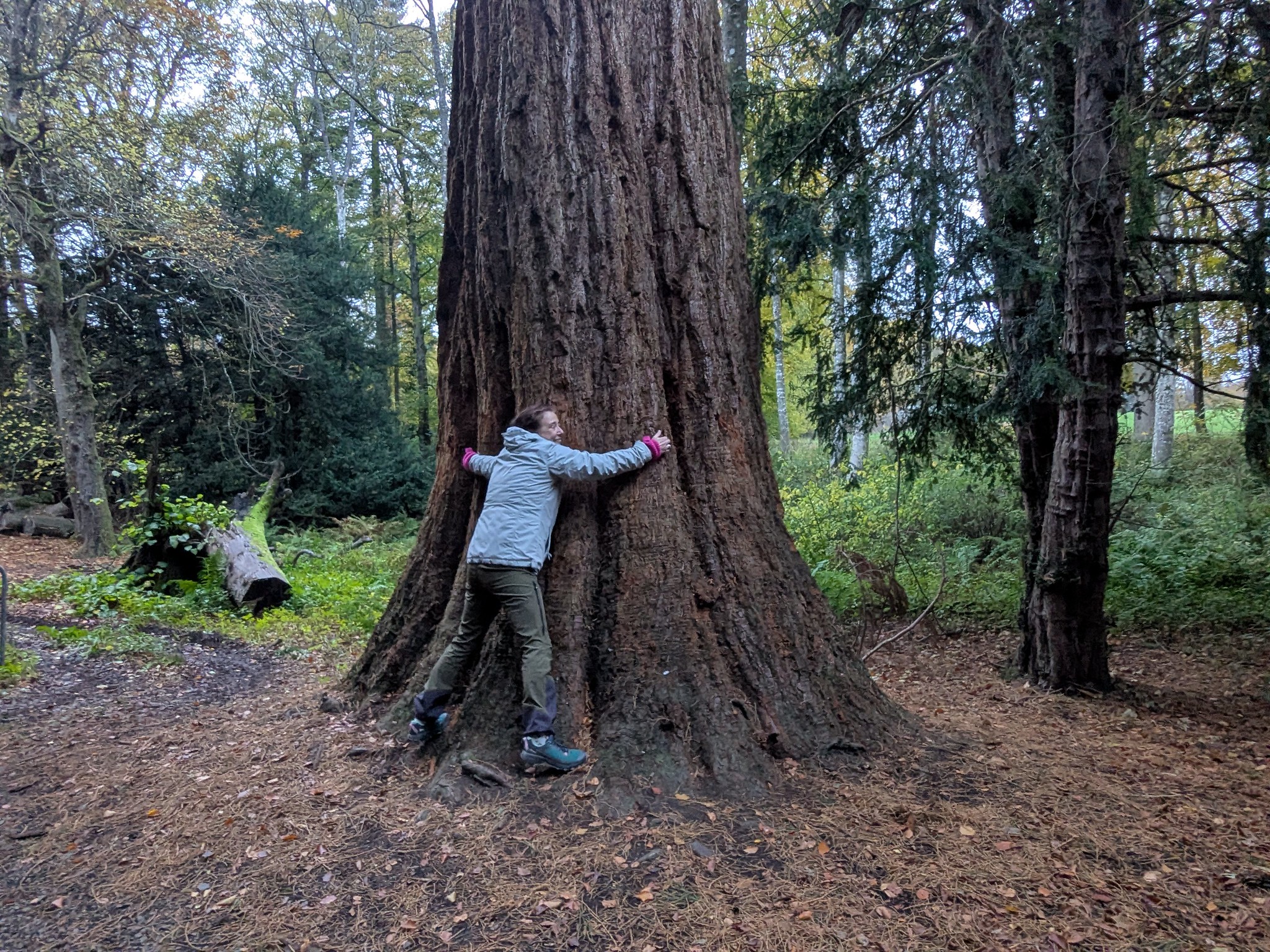 54891235250_e7d7929cb9_k