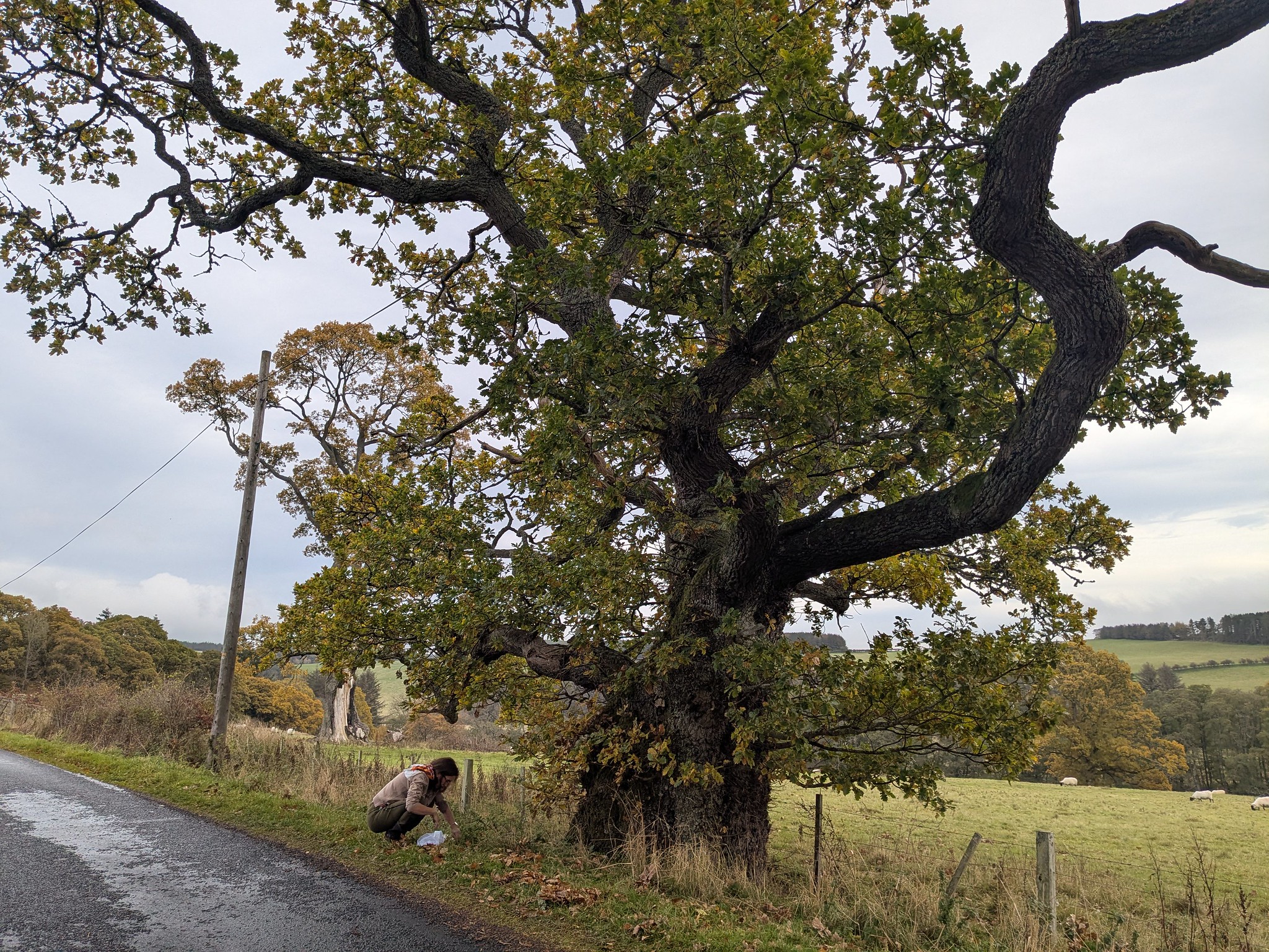 54891999841_e18493ad46_k