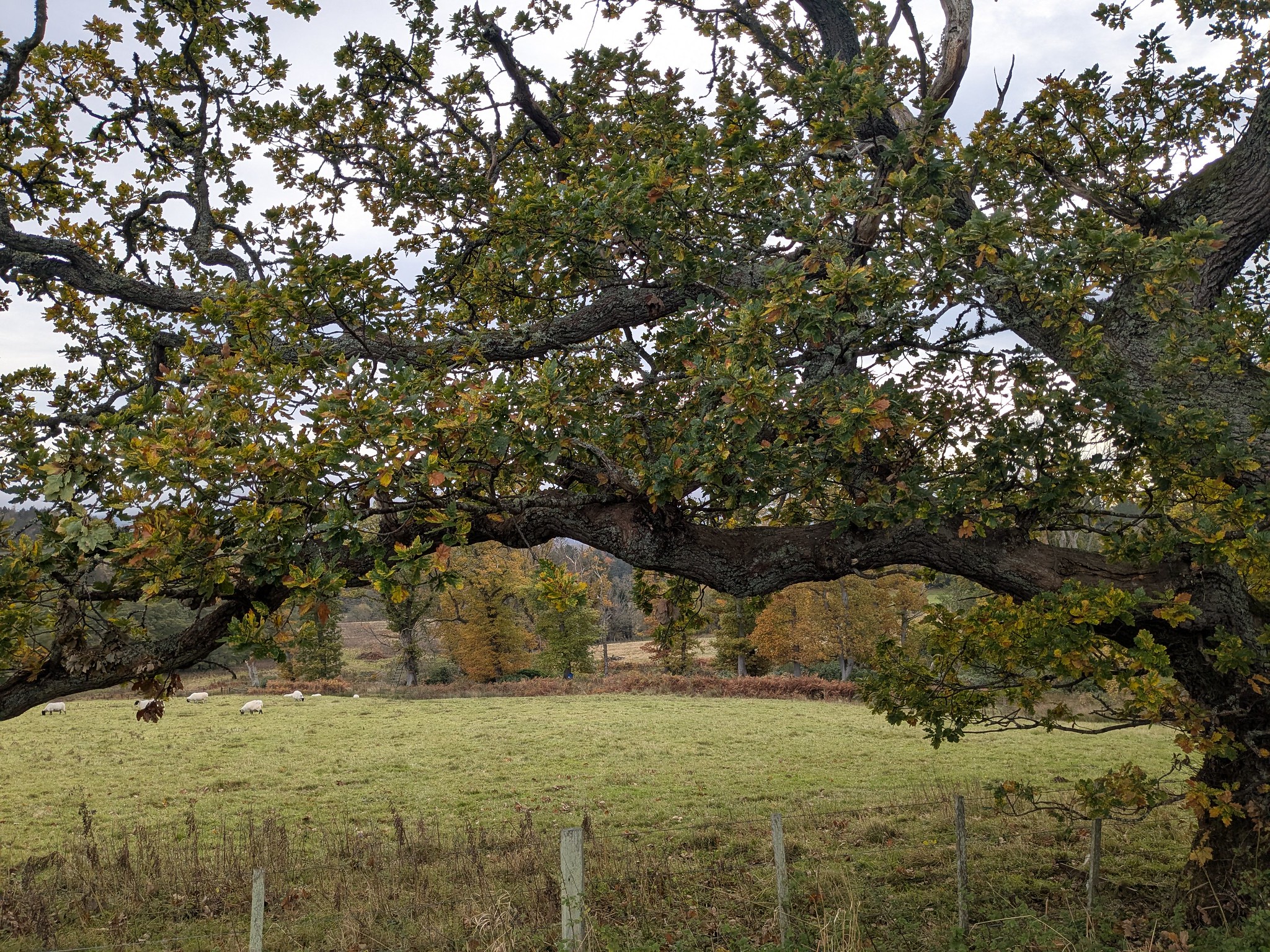 54892000236_1e4d45bb40_k