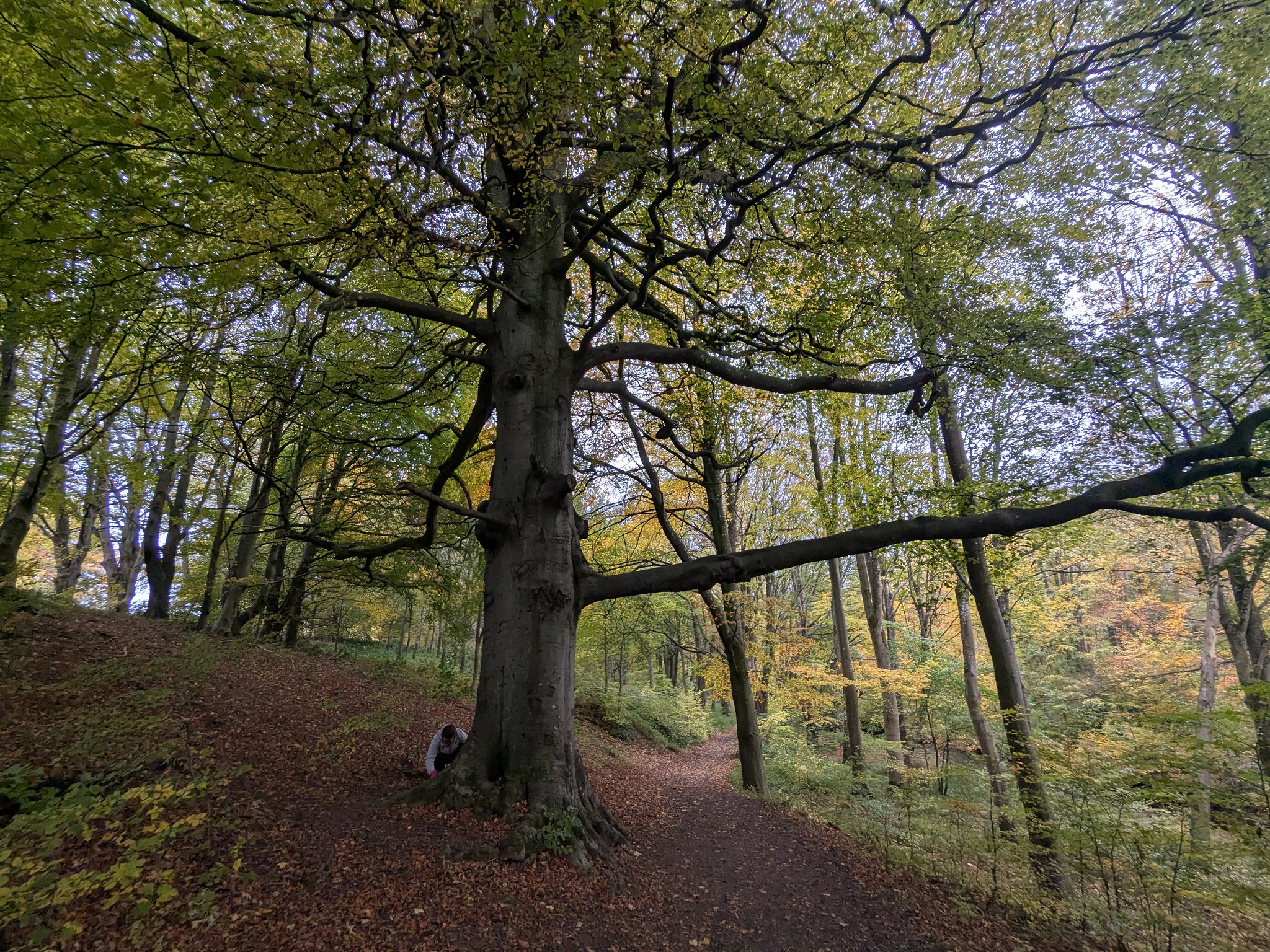 54890934416_4387ced211_k