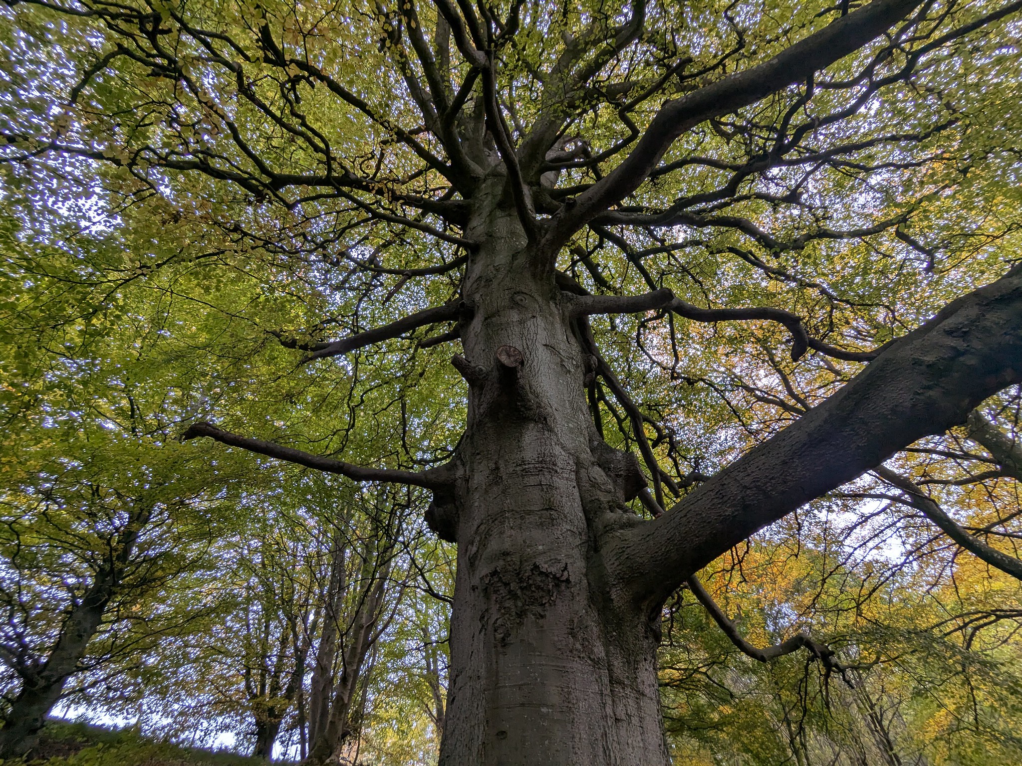 54891158773_14114916f5_k