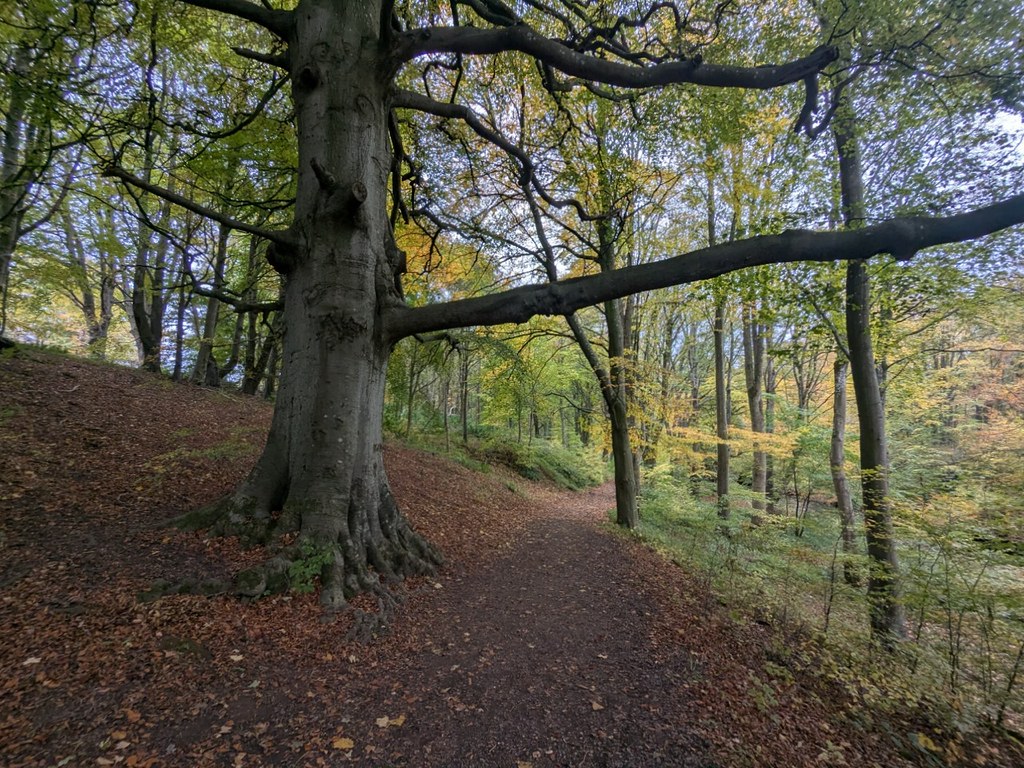 54891182349_14069253a9_b