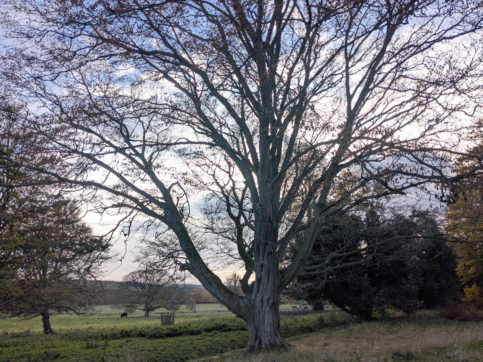 54897154583_ade935bc8b_k