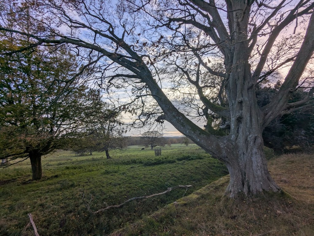 54897232380_eb2462b869_b