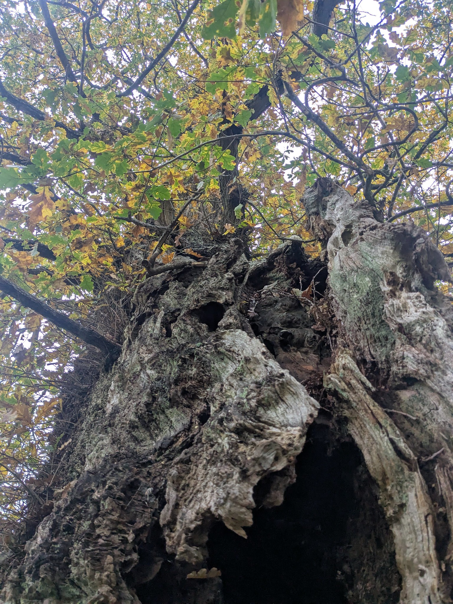 54904110691_7571189248_k