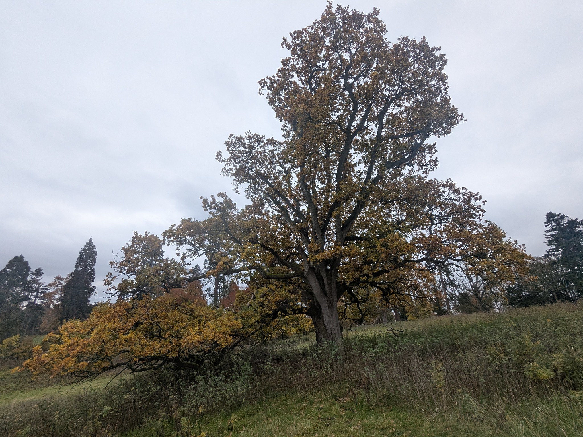 54904114226_be313180ba_k