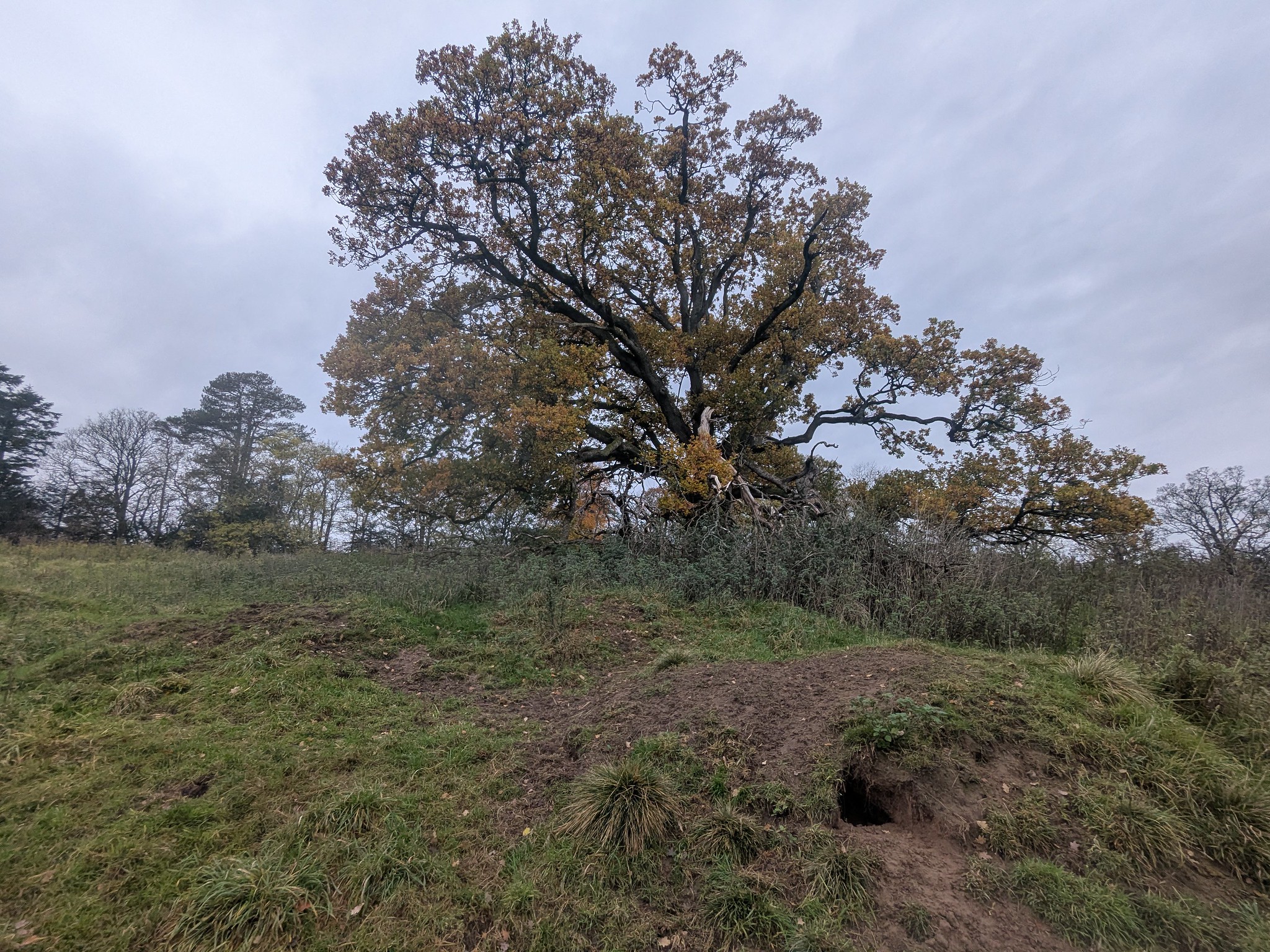 54904115386_6d28482117_k