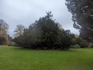 54904127176 61be84809b K 300x225