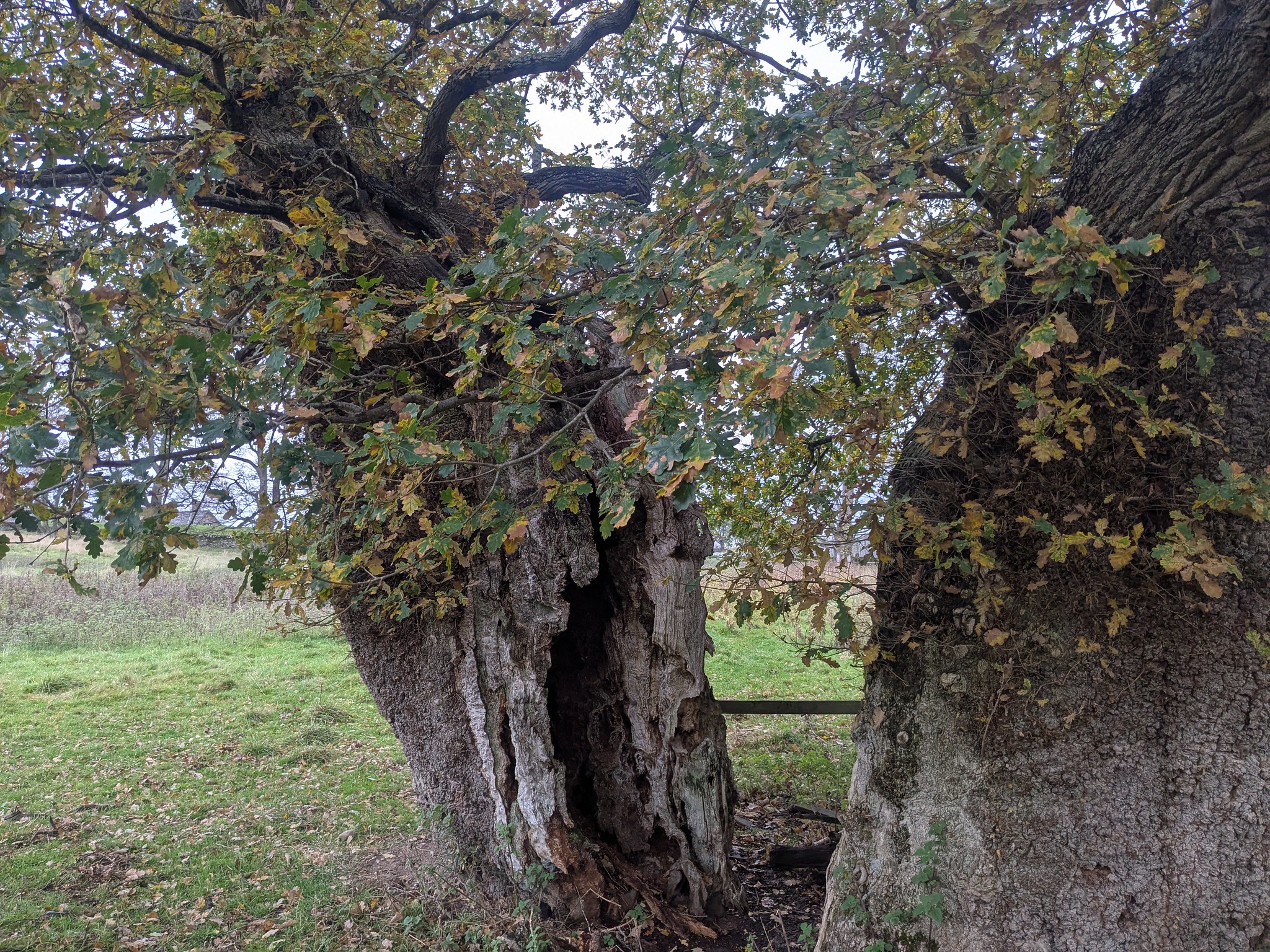 54904338638_54e92a6f26_k