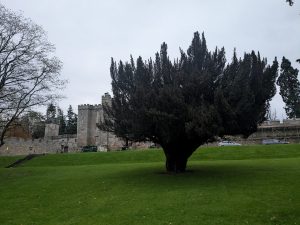 54904434765 F8fab5d498 K 300x225