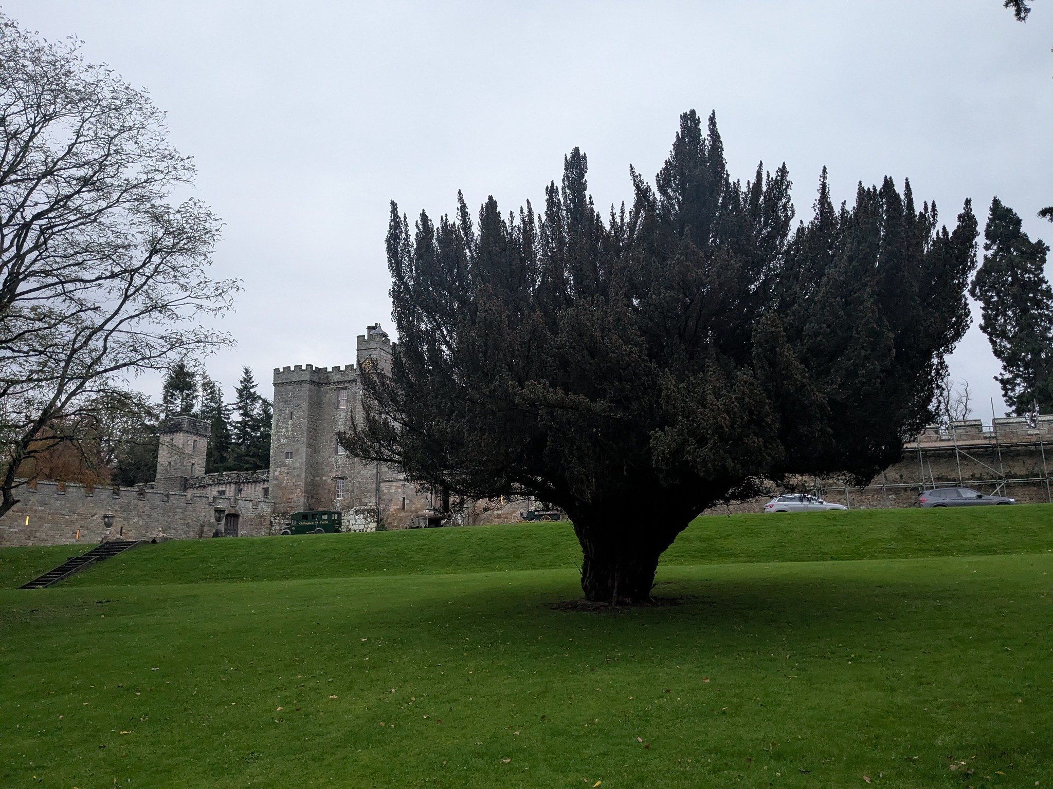 54904434765_f8fab5d498_k