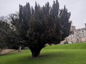 54904438615 05a6be78d0 K 300x225