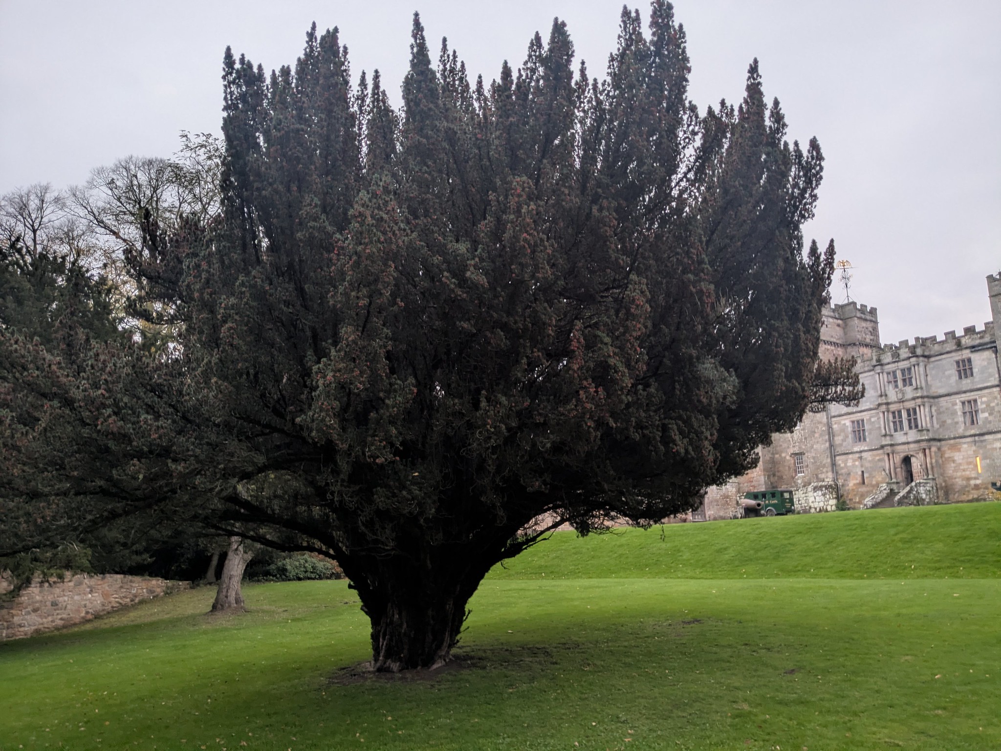 54904438615_05a6be78d0_k