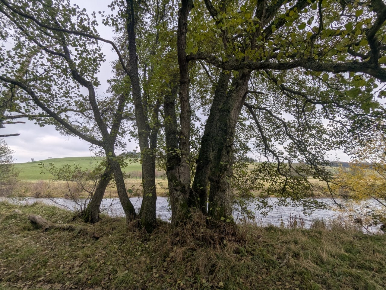 54906554040_c7a2628733_o