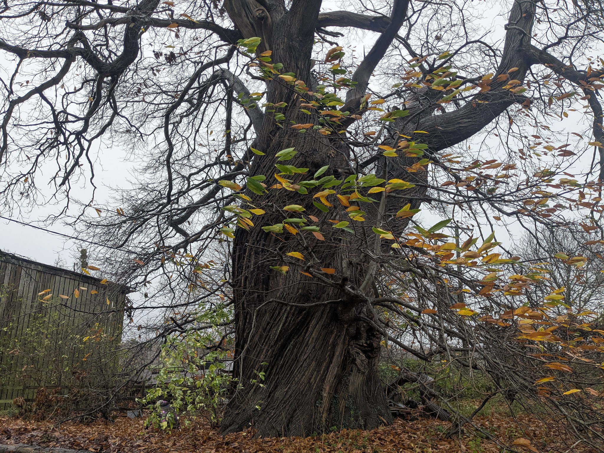 54922433247_d7b6ae52ec_k