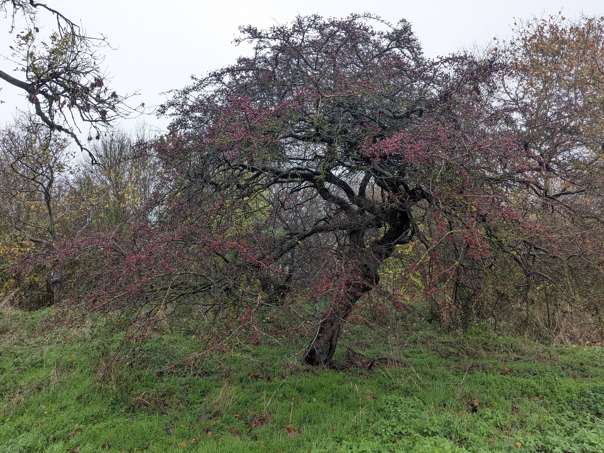 54923500128_2846a18dab_k